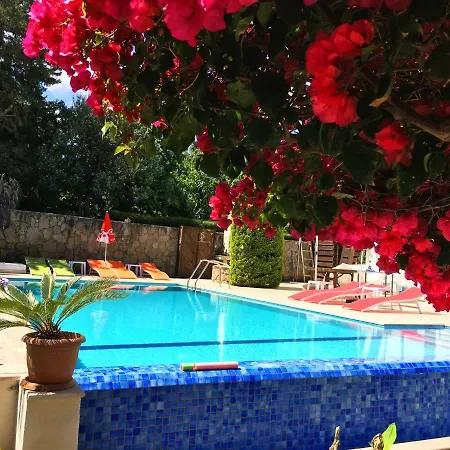 Deluxe Villa *